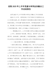 法院2025年上半年党建与审判业务融合工作总结报告