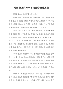 踔厉奋发向未来喜迎盛会研讨发言