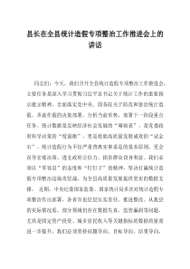 县长在全县统计造假专项整治工作推进会上的讲话
