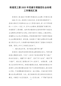 街道党工委2025年党建引领基层社会治理工作情况汇报
