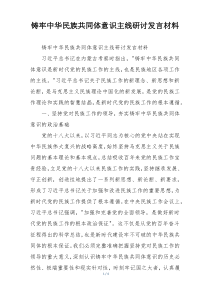 铸牢中华民族共同体意识主线研讨发言材料