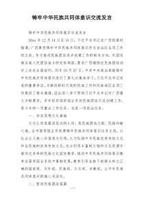 铸牢中华民族共同体意识交流发言