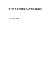 在2025年全市安全生产工作例会上的讲话