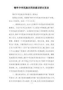 铸牢中华民族共同体意识研讨发言
