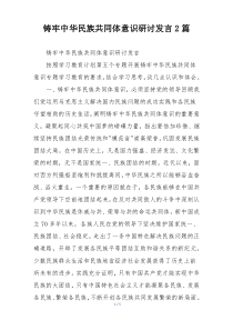 铸牢中华民族共同体意识研讨发言2篇