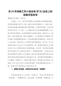 在2025年全市老龄工作小组全体(扩大)会议上的经验交流发言