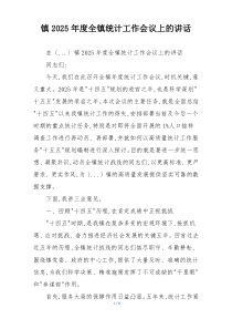 镇2025年度全镇统计工作会议上的讲话