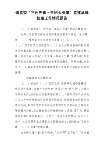 镇党委“三色先锋·旱码头引擎”党建品牌创建工作情况报告