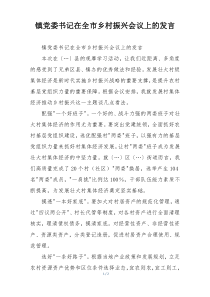 镇党委书记在全市乡村振兴会议上的发言