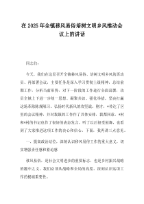 在2025年全镇移风易俗培树文明乡风推动会议上的讲话