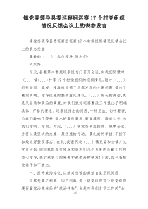 镇党委领导县委巡察组巡察17个村党组织情况反馈会议上的表态发言