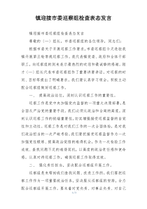 镇迎接市委巡察组检查表态发言