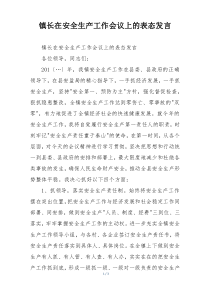 镇长在安全生产工作会议上的表态发言