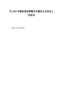 在2025年镇党委巡察整改专题民主生活会上的讲话