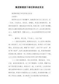 集团新提拔干部任职表态发言
