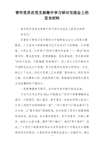 青年党员在党支部集中学习研讨交流会上的发言材料