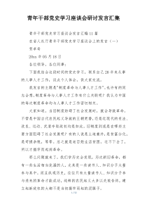 青年干部党史学习座谈会研讨发言汇集