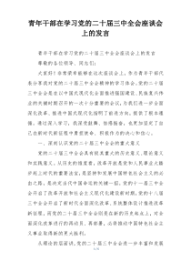 青年干部在学习党的二十届三中全会座谈会上的发言