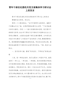 青年干部在纪委机关党支部集体学习研讨会上的发言