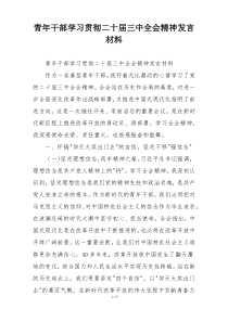 青年干部学习贯彻二十届三中全会精神发言材料