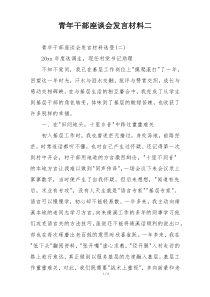 青年干部座谈会发言材料二