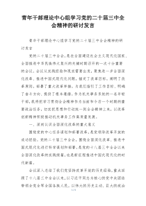 青年干部理论中心组学习党的二十届三中全会精神的研讨发言