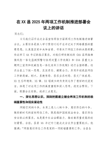 在县2025年两项工作机制推进部署会议上的讲话