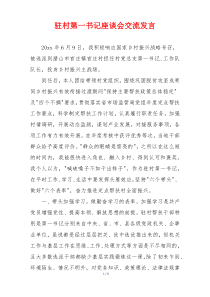 驻村第一书记座谈会交流发言