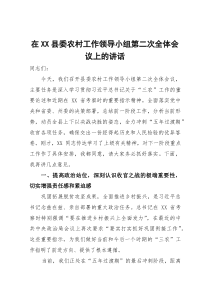 在某县委农村工作领导小组第二次全体会议上的讲话