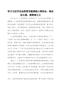 学习习近平法治思想专题课程心得体会：铸法治之魂，燃青春之火