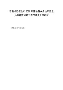 市委书记在全市2025年整治群众身边不正之风和腐败问题工作推进会上的讲话