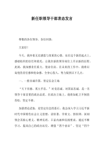 新任职领导干部表态发言