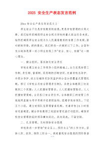 2025 安全生产表态发言范例