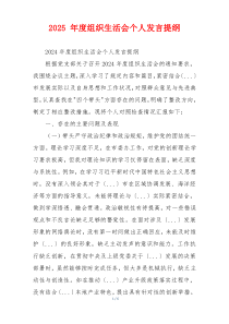 2025 年度组织生活会个人发言提纲