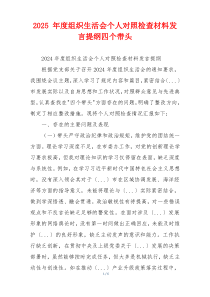 2025 年度组织生活会个人对照检查材料发言提纲四个带头