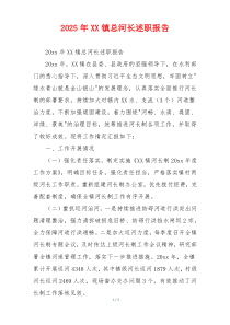 2025年XX镇总河长述职报告