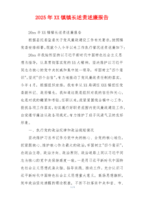 2025年XX镇镇长述责述廉报告