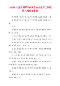 20251015党员领导干部关于安全生产工作经验交流发言整理