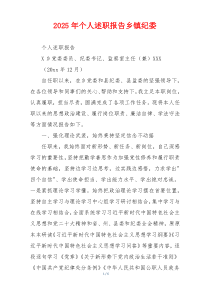 2025年个人述职报告乡镇纪委