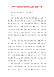 2025年度组织生活会上的总结讲话