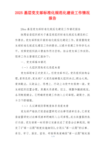 2025基层党支部标准化规范化建设工作情况报告