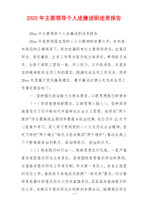 2025年主要领导个人述廉述职述责报告