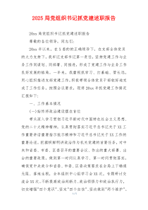 2025局党组织书记抓党建述职报告