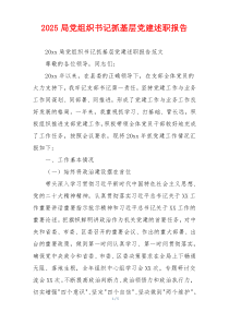 2025局党组织书记抓基层党建述职报告