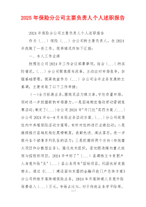 2025年保险分公司主要负责人个人述职报告