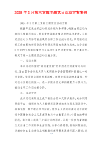 2025年3月第三支部主题党日活动方案案例