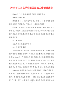 2025年XXX县学校基层党建工作情况报告