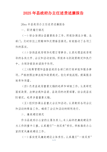 2025年县政府办主任述责述廉报告