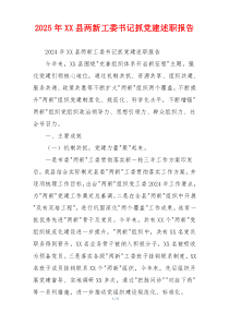 2025年XX县两新工委书记抓党建述职报告