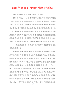 2025年XX县委“两新”党建工作总结